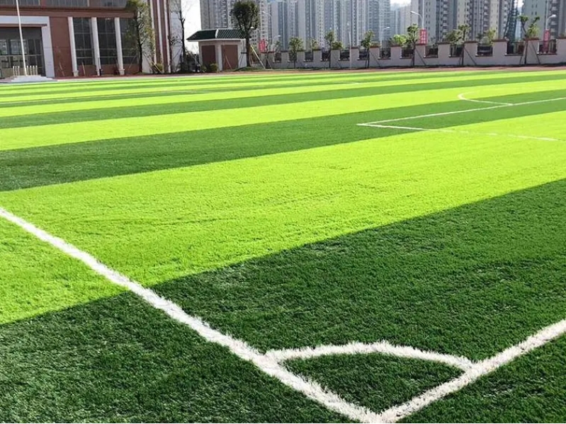 �˶�������