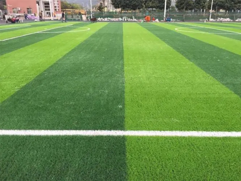 �˶�������