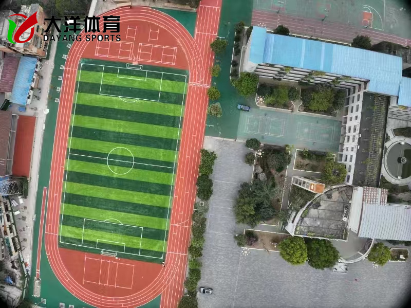 ͩ������